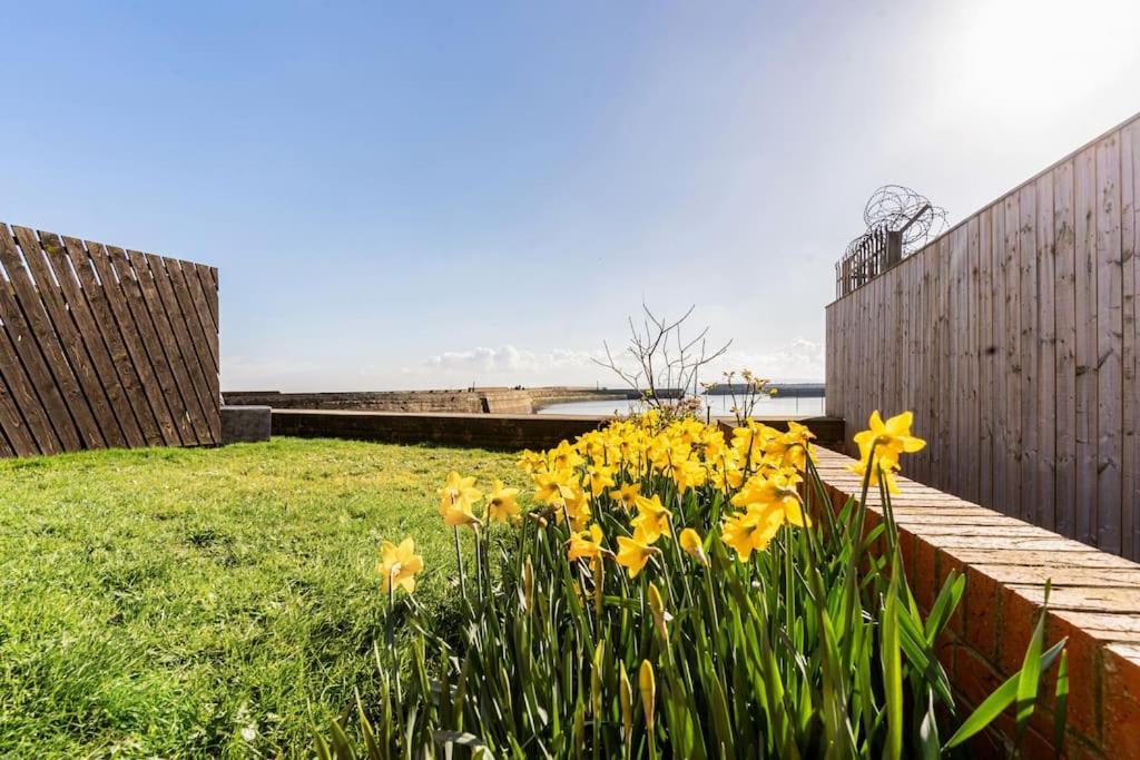 Stunning Ground Floor Hartlepool Marina Apartment Bagian luar foto
